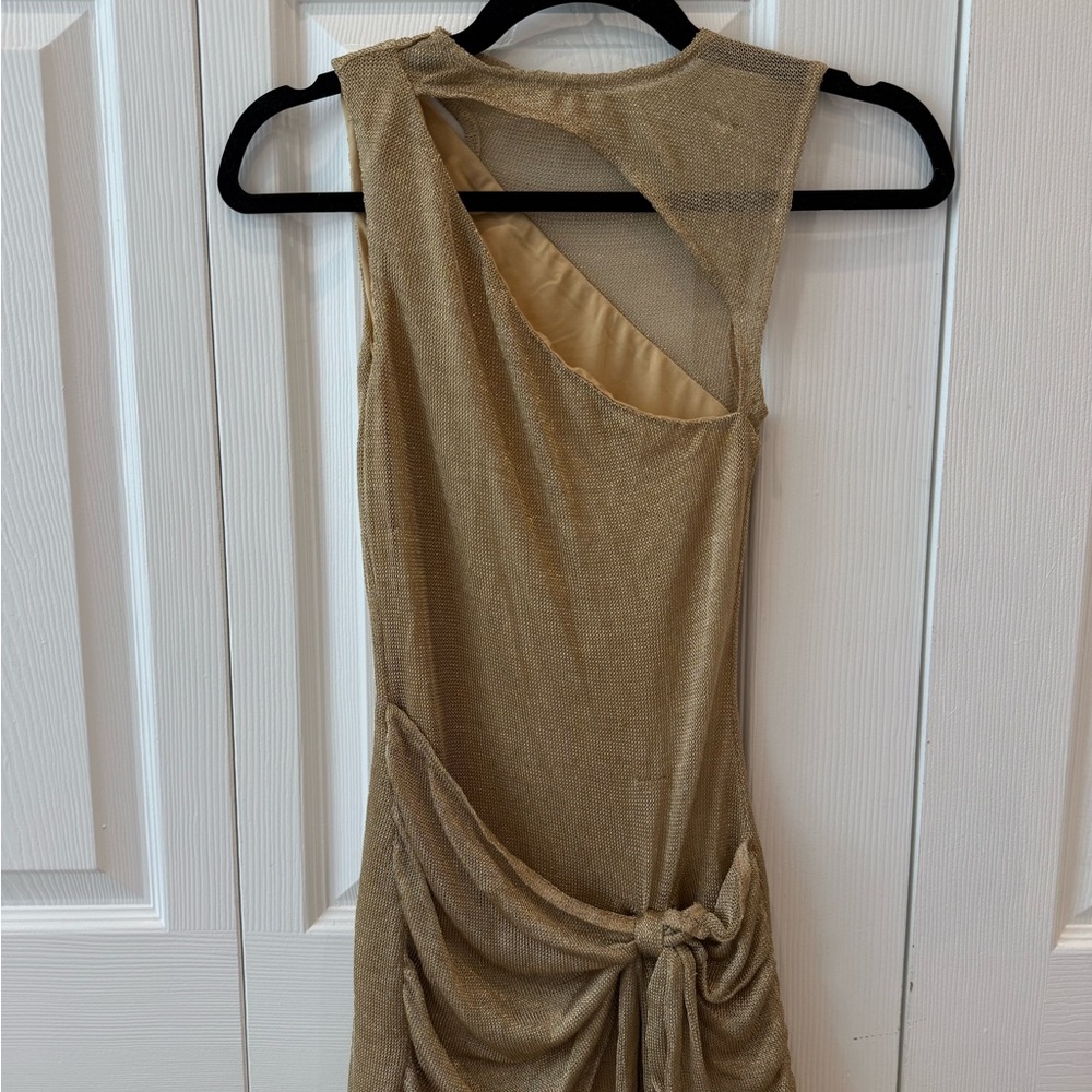 Tiger Mist Gold Mini Dress